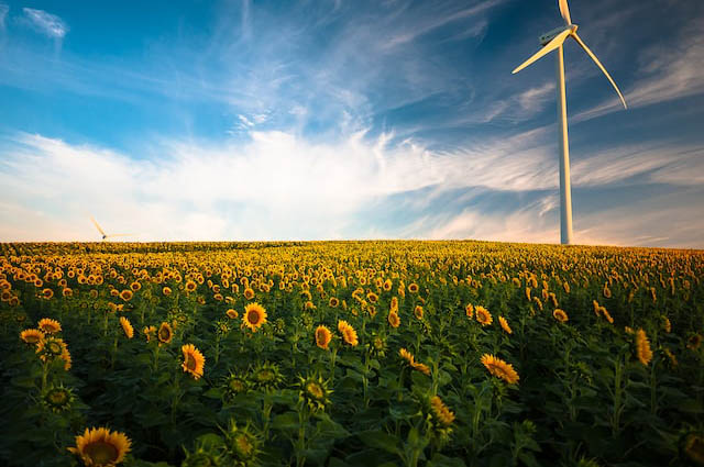 Électricité verte : c’est quoi ?